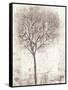 Tree of Birds II-Tim OToole-Framed Stretched Canvas