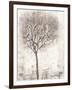 Tree of Birds II-Tim OToole-Framed Art Print