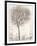 Tree of Birds II-Tim OToole-Framed Art Print