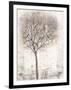 Tree of Birds II-Tim OToole-Framed Art Print