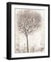 Tree of Birds II-Tim OToole-Framed Art Print