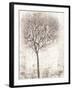 Tree of Birds II-Tim OToole-Framed Art Print