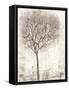 Tree of Birds II-Tim OToole-Framed Stretched Canvas