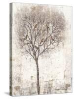 Tree of Birds II-Tim OToole-Stretched Canvas