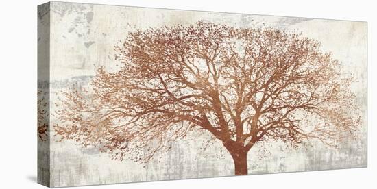 Tree of Bronze-Alessio Aprile-Stretched Canvas