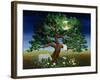 Tree of Dreams, 1994-Magdolna Ban-Framed Giclee Print