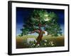 Tree of Dreams, 1994-Magdolna Ban-Framed Giclee Print