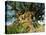 Tree of Life, Animal Kingdom, Disneyworld, Orlando, Florida, USA-Tomlinson Ruth-Stretched Canvas