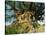 Tree of Life, Animal Kingdom, Disneyworld, Orlando, Florida, USA-Tomlinson Ruth-Stretched Canvas