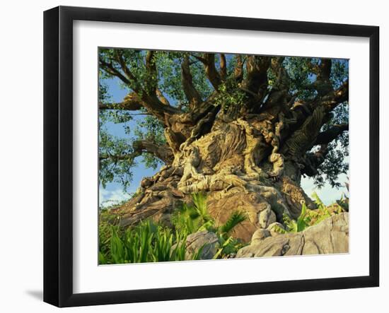 Tree of Life, Animal Kingdom, Disneyworld, Orlando, Florida, USA-Tomlinson Ruth-Framed Photographic Print