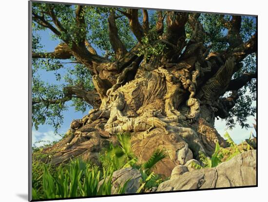 Tree of Life, Animal Kingdom, Disneyworld, Orlando, Florida, USA-Tomlinson Ruth-Mounted Photographic Print