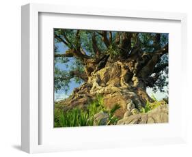 Tree of Life, Animal Kingdom, Disneyworld, Orlando, Florida, USA-Tomlinson Ruth-Framed Photographic Print