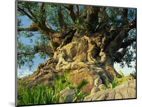 Tree of Life, Animal Kingdom, Disneyworld, Orlando, Florida, USA-Tomlinson Ruth-Mounted Photographic Print