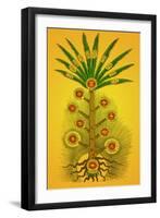 Tree of Life, Etz haChayim-Science Source-Framed Giclee Print