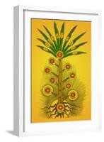 Tree of Life, Etz haChayim-Science Source-Framed Giclee Print