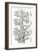 Tree of Life from the Evolution of Man-Ernst Haeckel-Framed Giclee Print