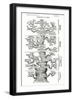 Tree of Life from the Evolution of Man-Ernst Haeckel-Framed Giclee Print