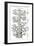 Tree of Life from the Evolution of Man-Ernst Haeckel-Framed Giclee Print