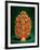 Tree of Life (Single-Fired Earthenware)-Mexican-Framed Giclee Print