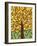 Tree of Life - Yellow-Kerri Ambrosino-Framed Giclee Print