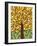 Tree of Life - Yellow-Kerri Ambrosino-Framed Giclee Print