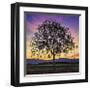 Tree of Life-Paolo DeFaveri-Framed Giclee Print