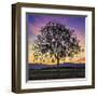 Tree of Life-Paolo DeFaveri-Framed Giclee Print