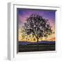 Tree of Life-Paolo DeFaveri-Framed Giclee Print