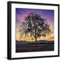 Tree of Life-Paolo DeFaveri-Framed Giclee Print