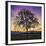 Tree of Life-Paolo DeFaveri-Framed Giclee Print