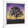 Tree of Life-Paolo DeFaveri-Framed Giclee Print