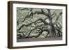 Tree of Light Color Fl-2-Moises Levy-Framed Photographic Print