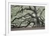 Tree of Light Color Fl-2-Moises Levy-Framed Photographic Print