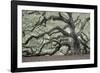 Tree of Light Color Fl-2-Moises Levy-Framed Photographic Print