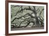 Tree of Light Color Fl-2-Moises Levy-Framed Photographic Print