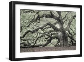 Tree of Light Color Fl-2-Moises Levy-Framed Premium Photographic Print