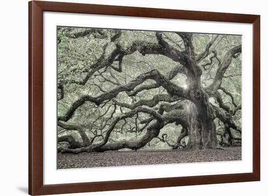 Tree of Light Color Fl-2-Moises Levy-Framed Photographic Print