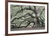 Tree of Light Color Fl-2-Moises Levy-Framed Photographic Print