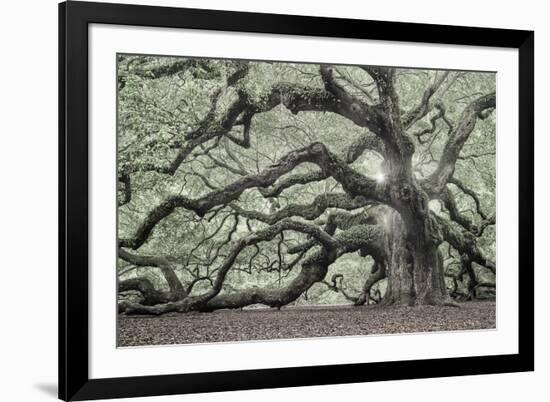 Tree of Light Color Fl-2-Moises Levy-Framed Photographic Print