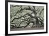 Tree of Light Color Fl-2-Moises Levy-Framed Photographic Print