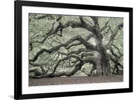 Tree of Light Color Fl-2-Moises Levy-Framed Photographic Print