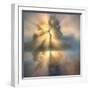 Tree of light-null-Framed Photographic Print