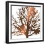 Tree of Wisdom 1-Sheldon Lewis-Framed Art Print