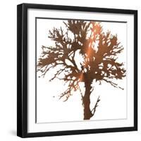 Tree of Wisdom 2-Sheldon Lewis-Framed Art Print