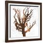 Tree of Wisdom 3-Sheldon Lewis-Framed Art Print