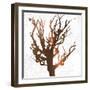 Tree of Wisdom 3-Sheldon Lewis-Framed Art Print