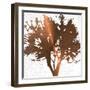 Tree of Wisdom 4-Sheldon Lewis-Framed Art Print