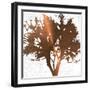 Tree of Wisdom 4-Sheldon Lewis-Framed Art Print