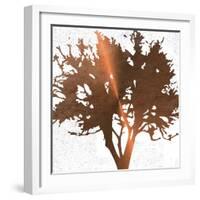 Tree of Wisdom 4-Sheldon Lewis-Framed Art Print