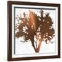 Tree of Wisdom 4-Sheldon Lewis-Framed Art Print